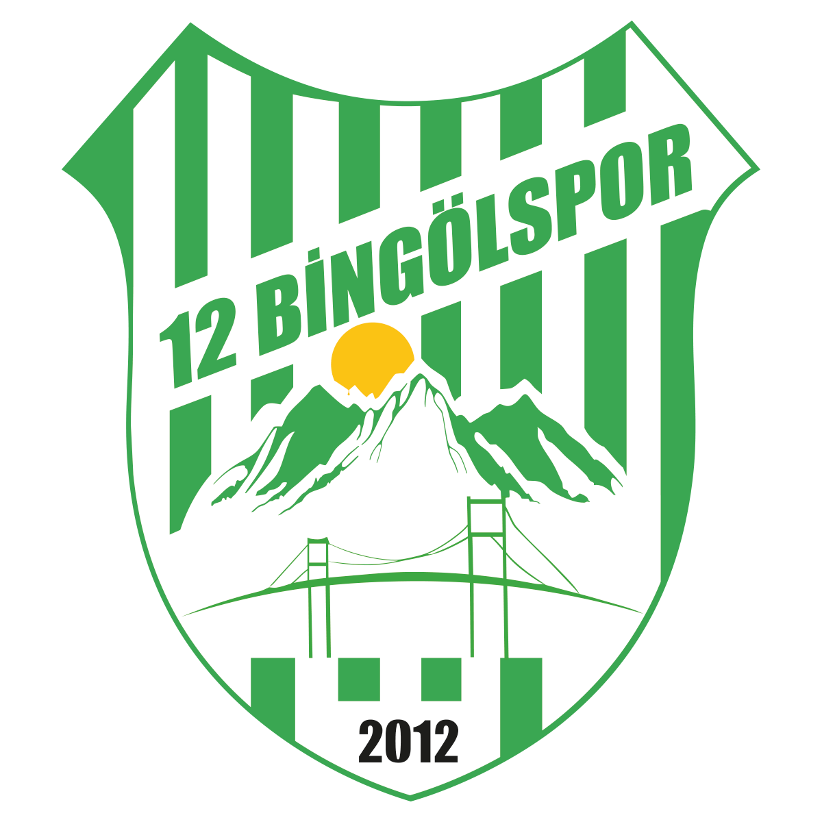 12 Bingölspor Logo